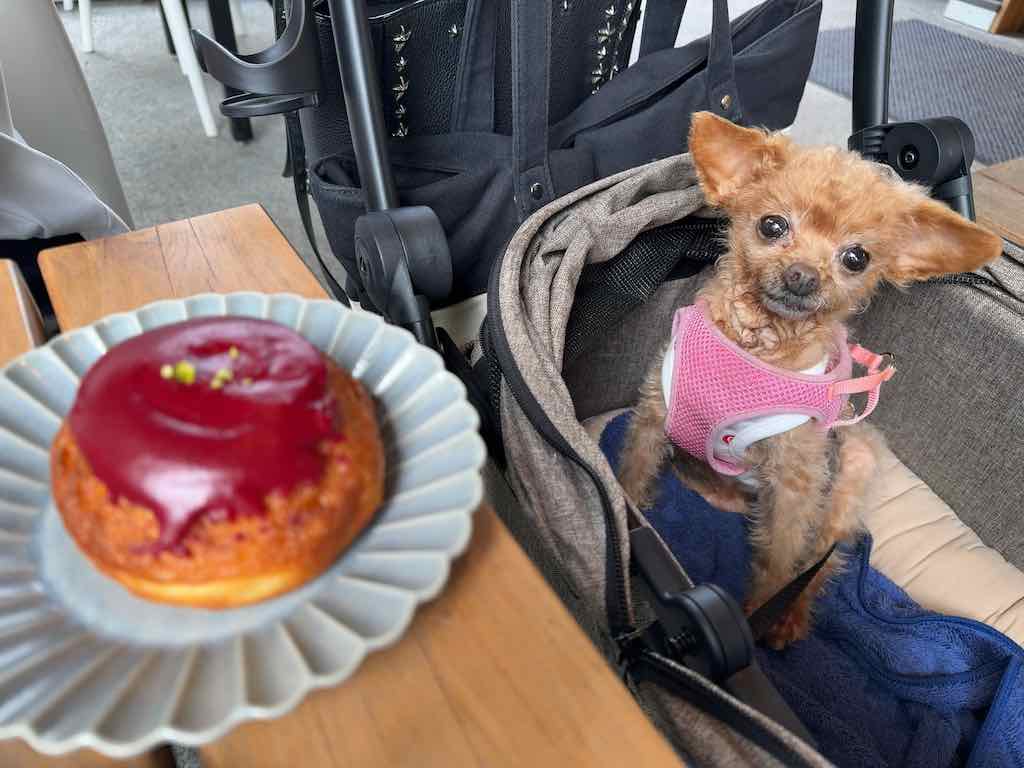 くるみ | 沢村ロースタリー 軽井沢