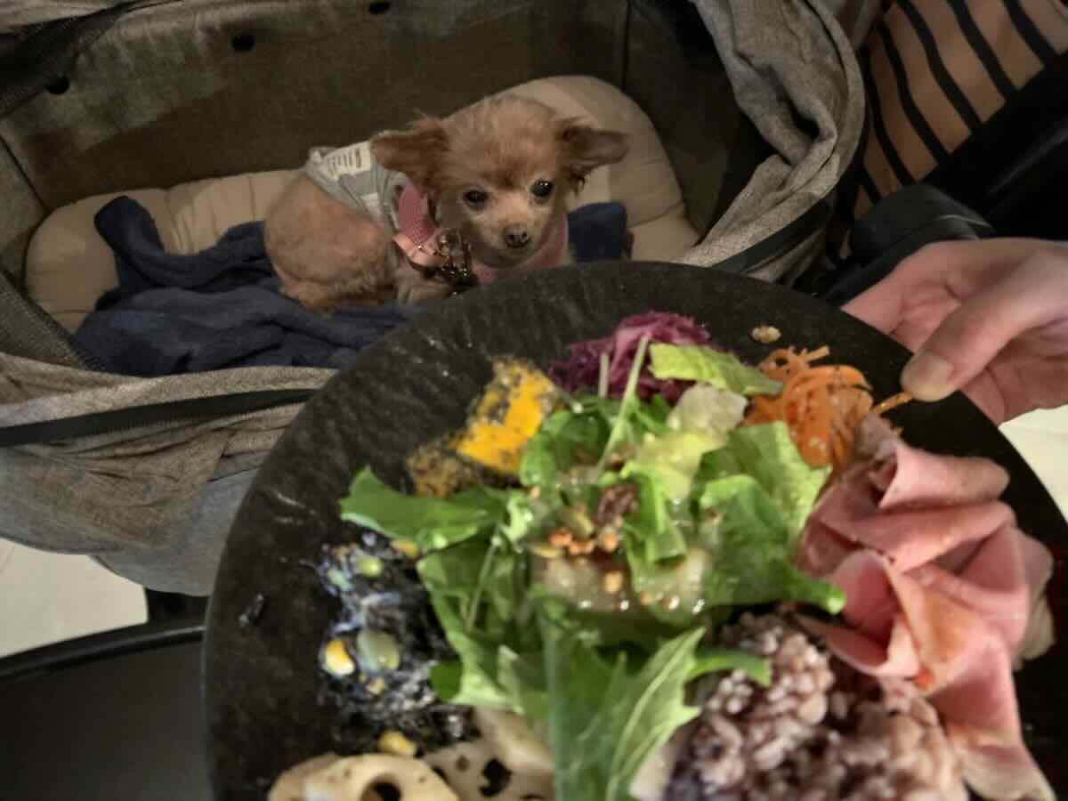 メディバル×タニタカフェ 東府中