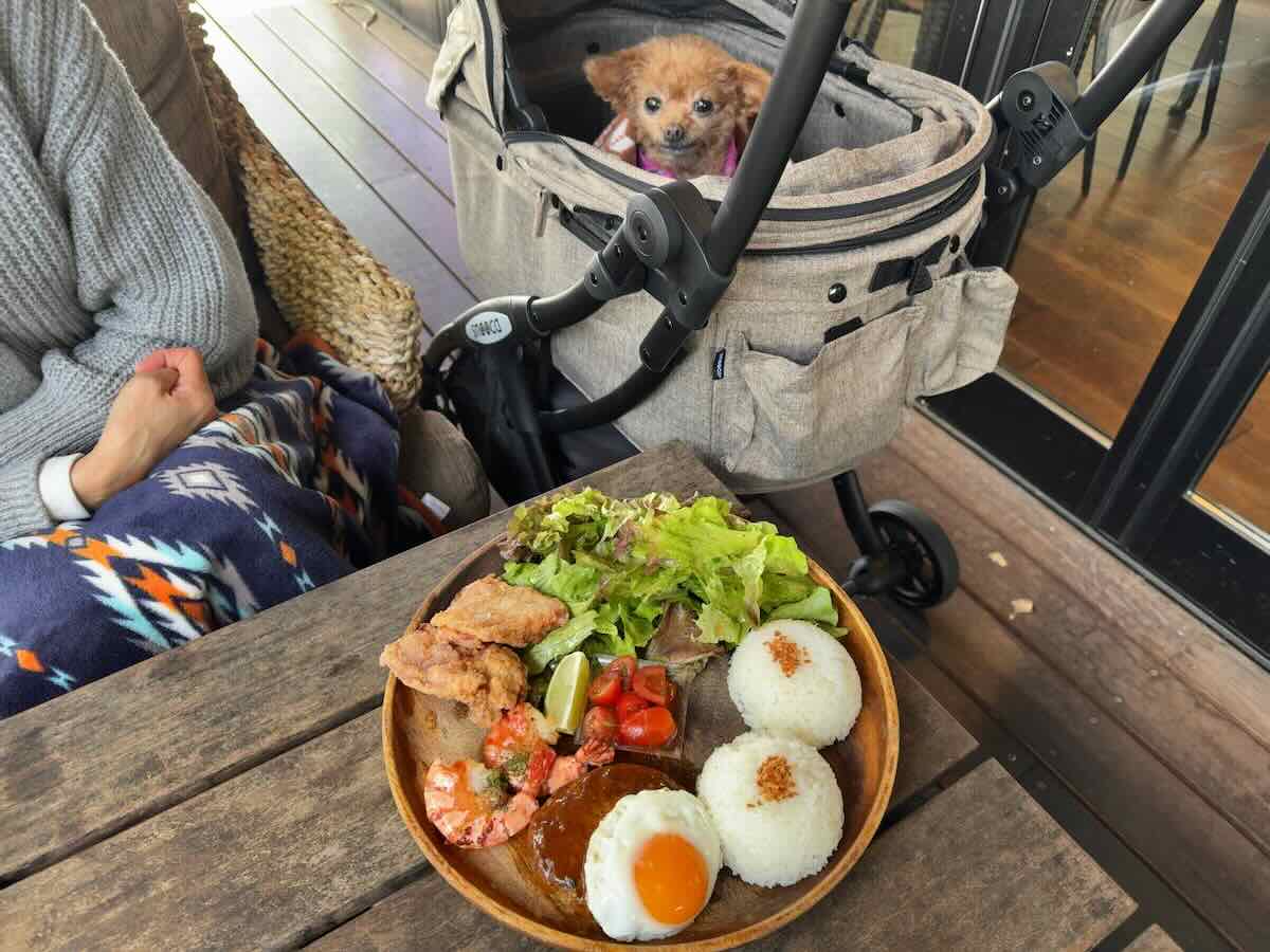 くるみ | オルオルアイナ