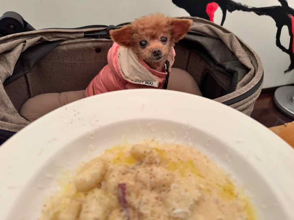 くるみ | キサキ