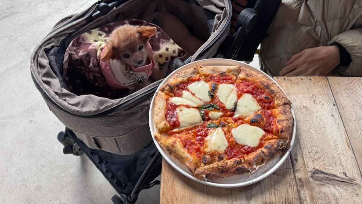 くるみ | goodspoon pizzeria＆cheese 立川店