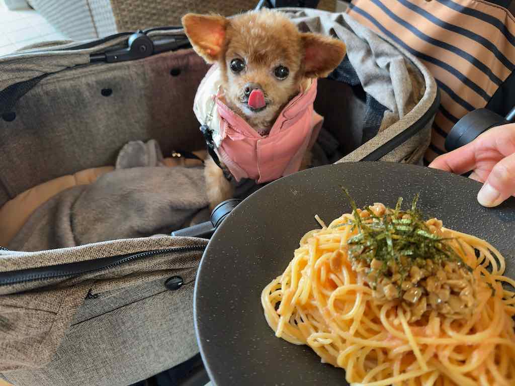 くるみ | ジ サッカ カフェ