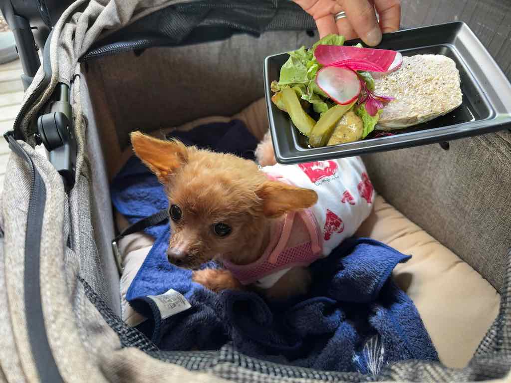 くるみ | セルクル