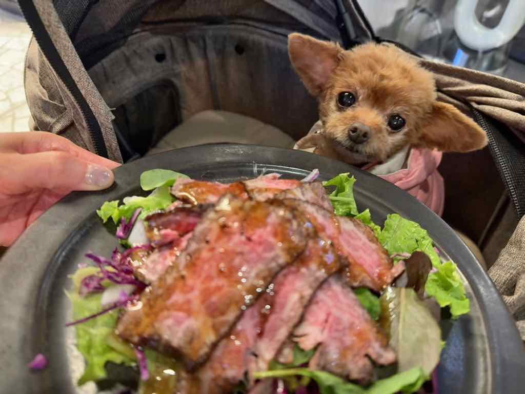 くるみ | PAIKAJI TERRACE