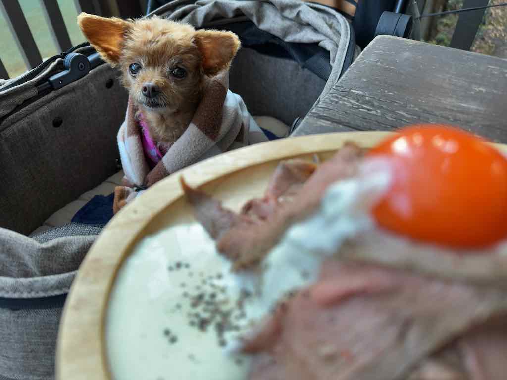 くるみとボルケーノ | 奥多摩リバーサイドカフェ awa