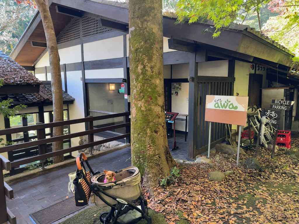 外観 | 奥多摩リバーサイドカフェ awa