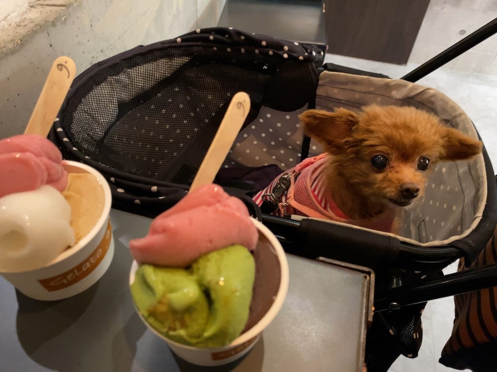 くるみ | Gelato 9.