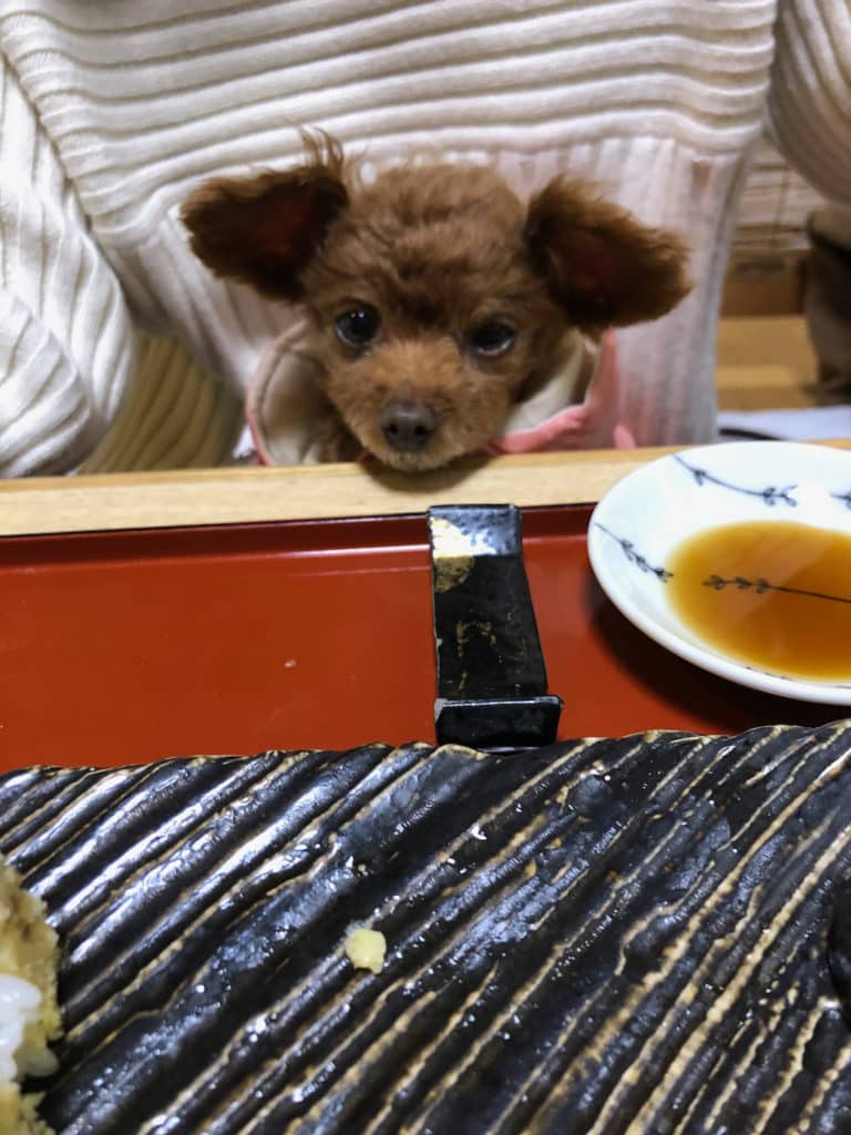 くるみ | 松栄寿司