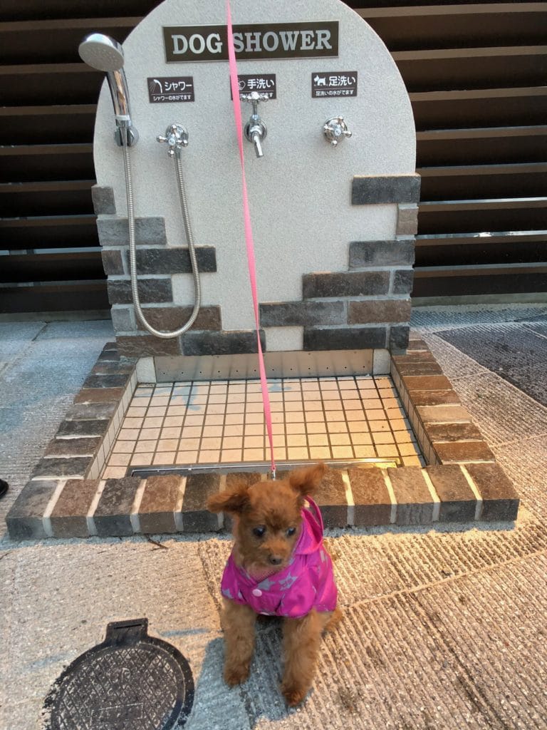 ドッグシャワー | グランベリーパーク