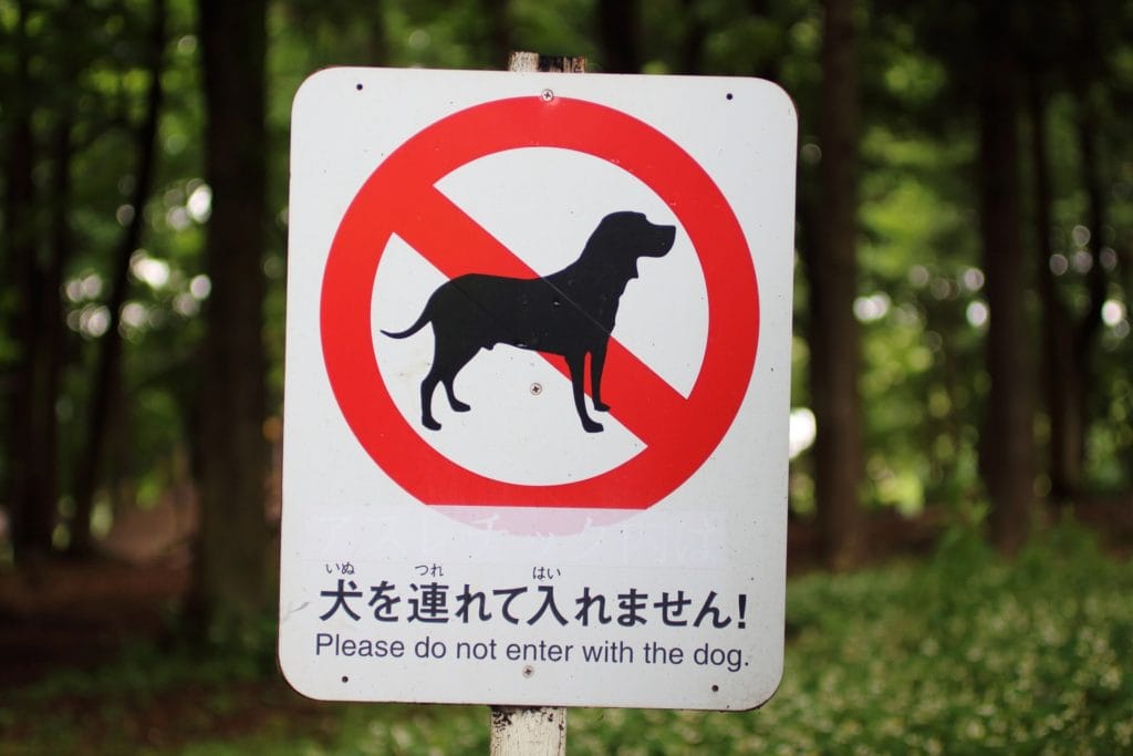 ペット不可