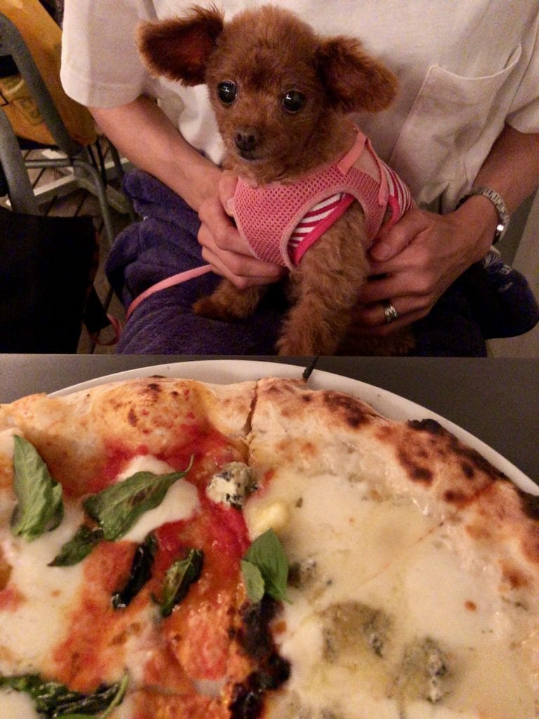 くるみ | GOOD CHEESE GOOD PIZZA 国立店