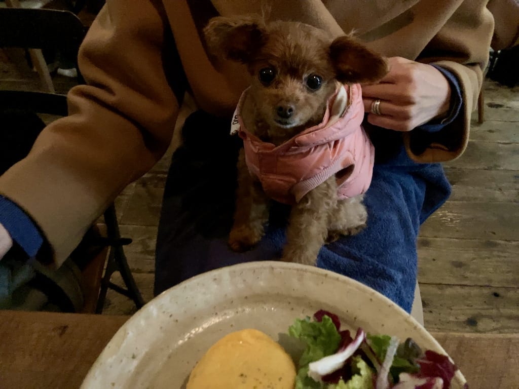 くるみ | torse （トルス）