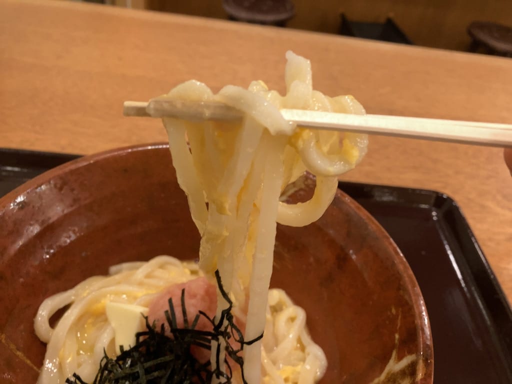 麺のアップ | 手打うどん いわしや 青山店
