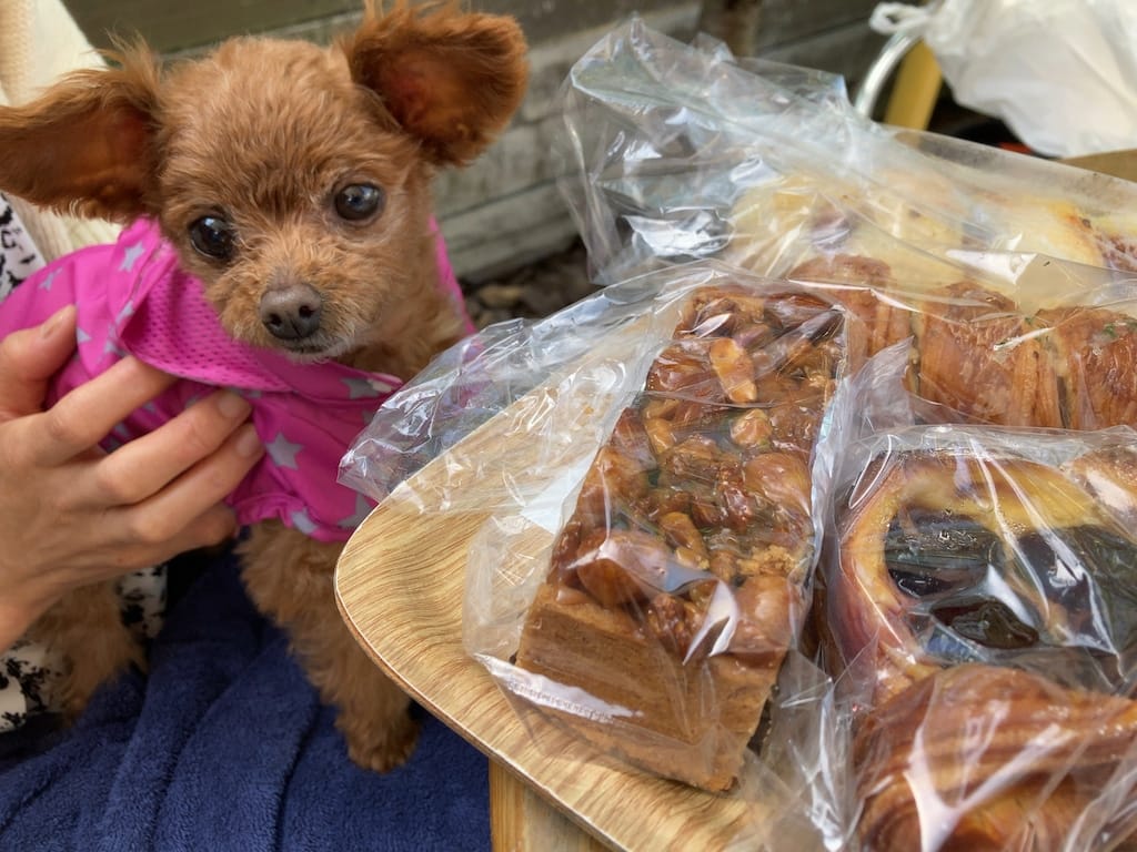 くるみ | モン・ペシェ・ミニョン