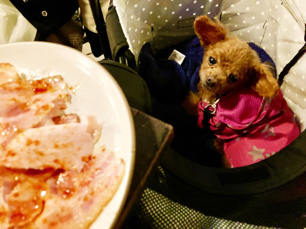 くるみ | GARDEN HOUSE KAMAKURA