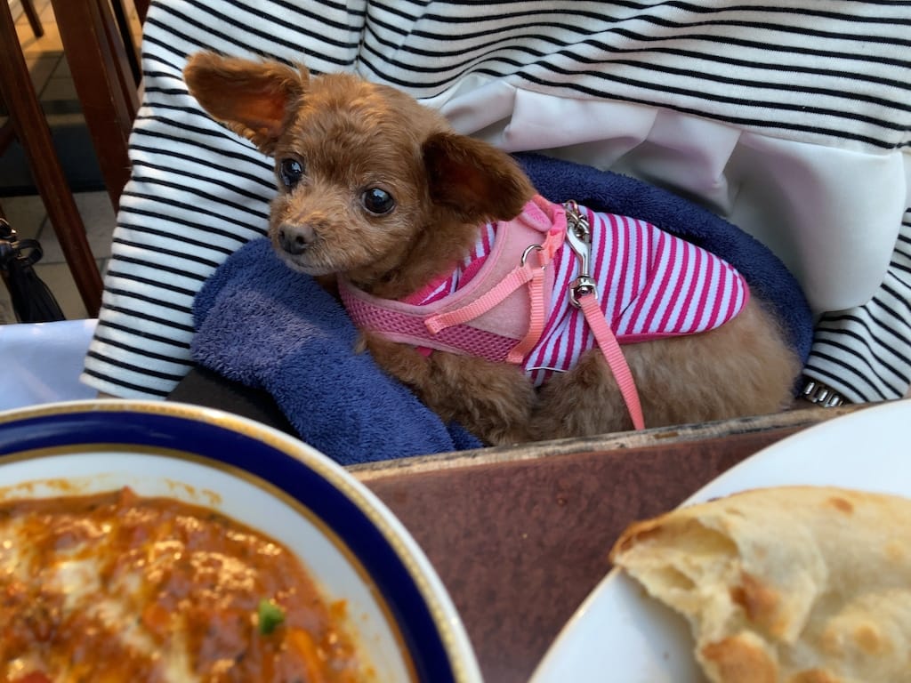 くるみ | サルマ ティッカアンドビリヤニ