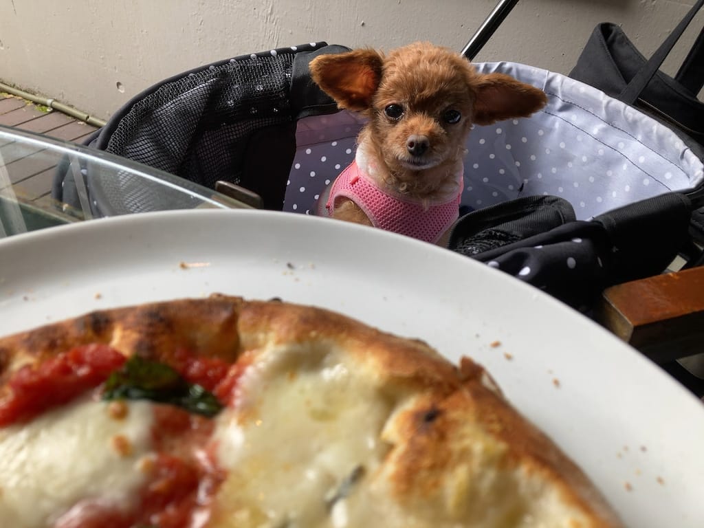 くるみ | エンボカ 軽井沢