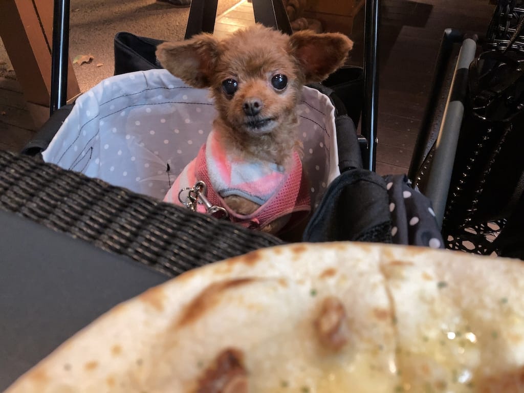 くるみ | イル・ソーニョ