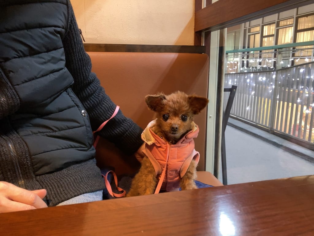 くるみ | QUAN AN TAM 自由が丘店