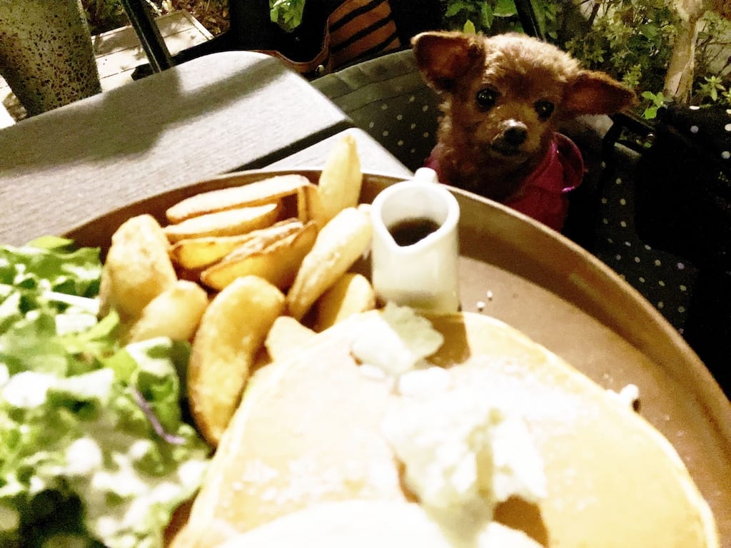 くるみ | カフェ サカイ