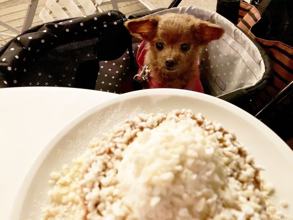 くるみ | crisscross