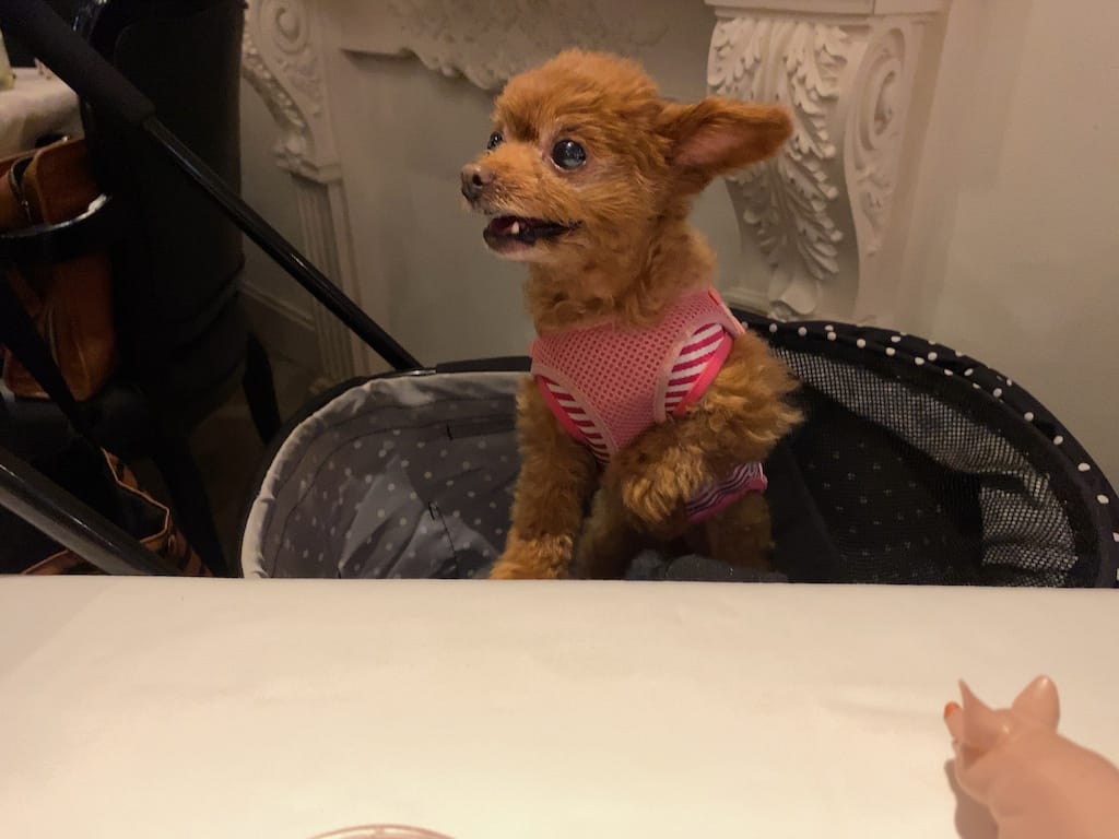 くるみ | レストラン アルティザン