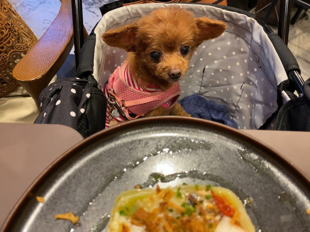 くるみ | atelier de terrine maison okei