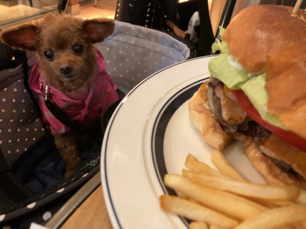 くるみ | ファンゴー 三宿本店