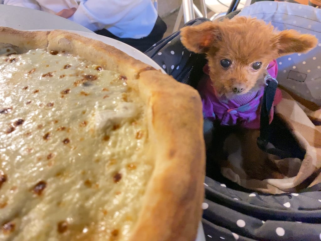 くるみ | トラットリア ターヴォラ 御殿場プレミアムアウトレット店