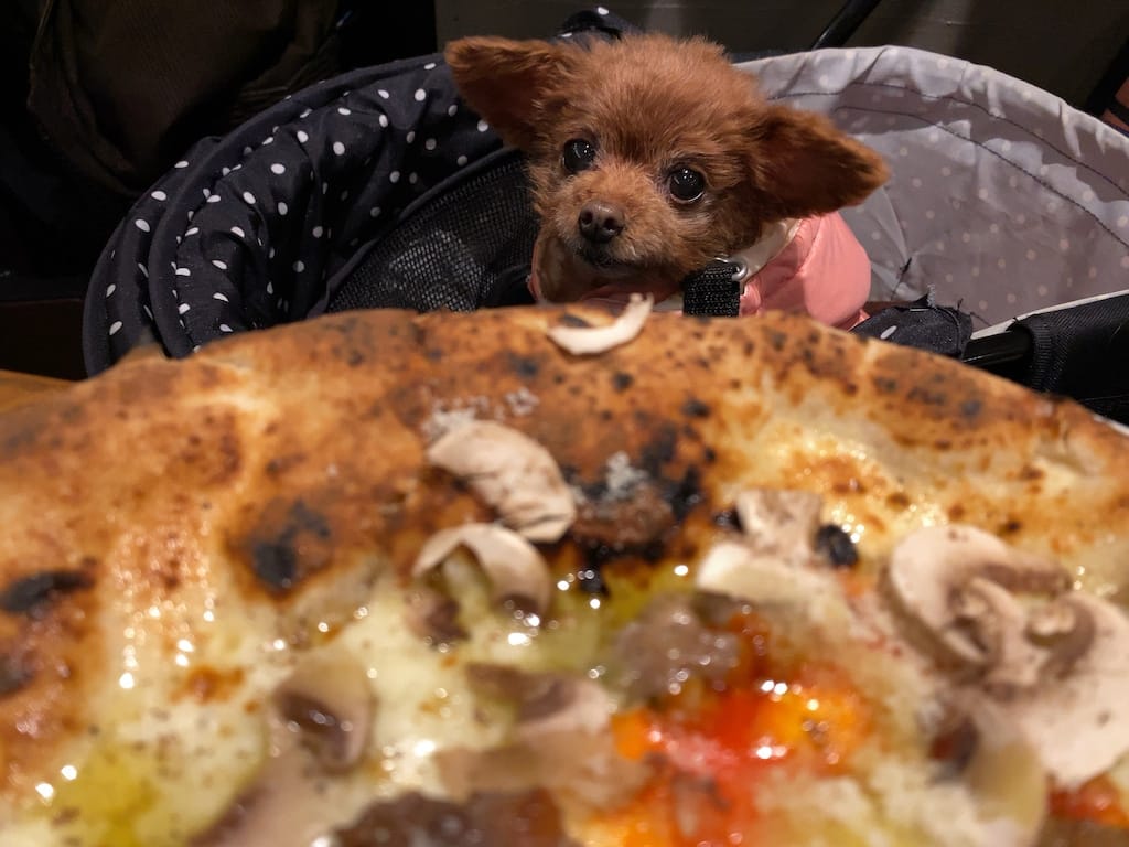 くるみ | Pizzeria&Trattoria GONZO 吉祥寺店