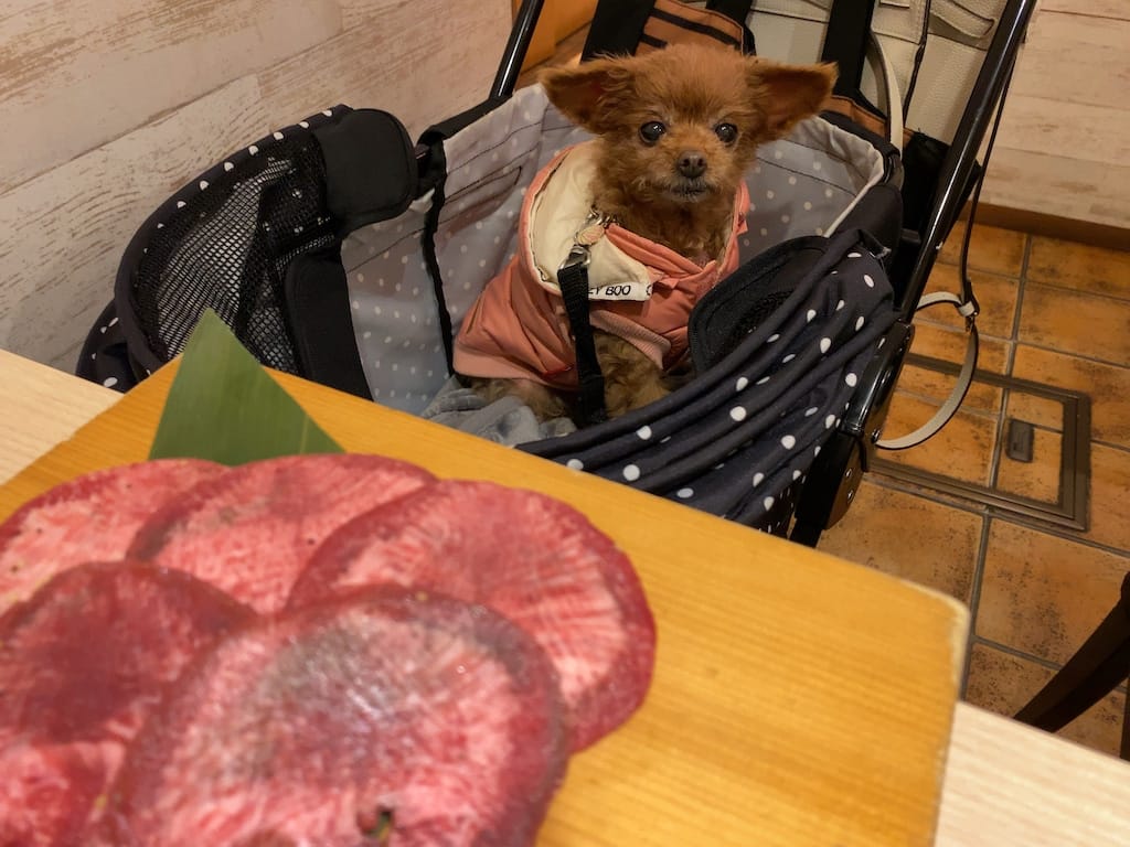 くるみ | 肉菜工房うしすけ クロスガーデン多摩店