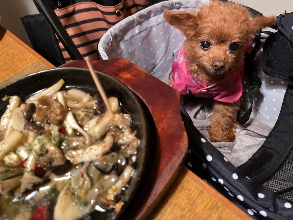 くるみ | ブルー・ブランシュ