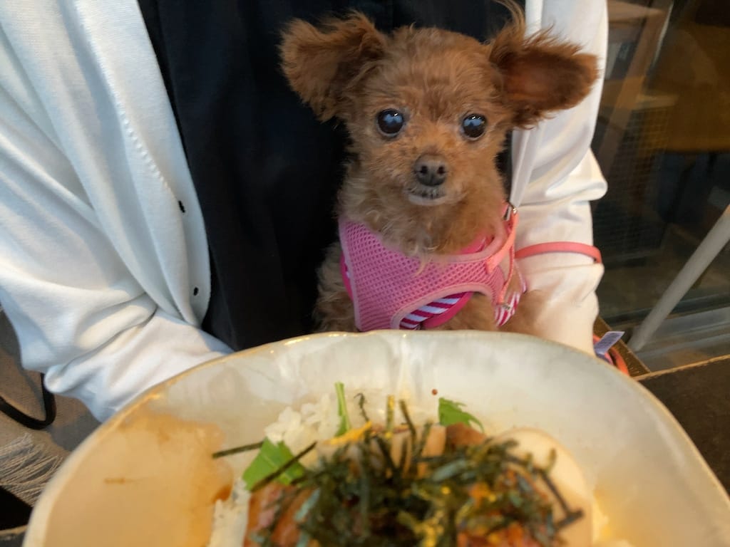 くるみ | CHICHICAFE