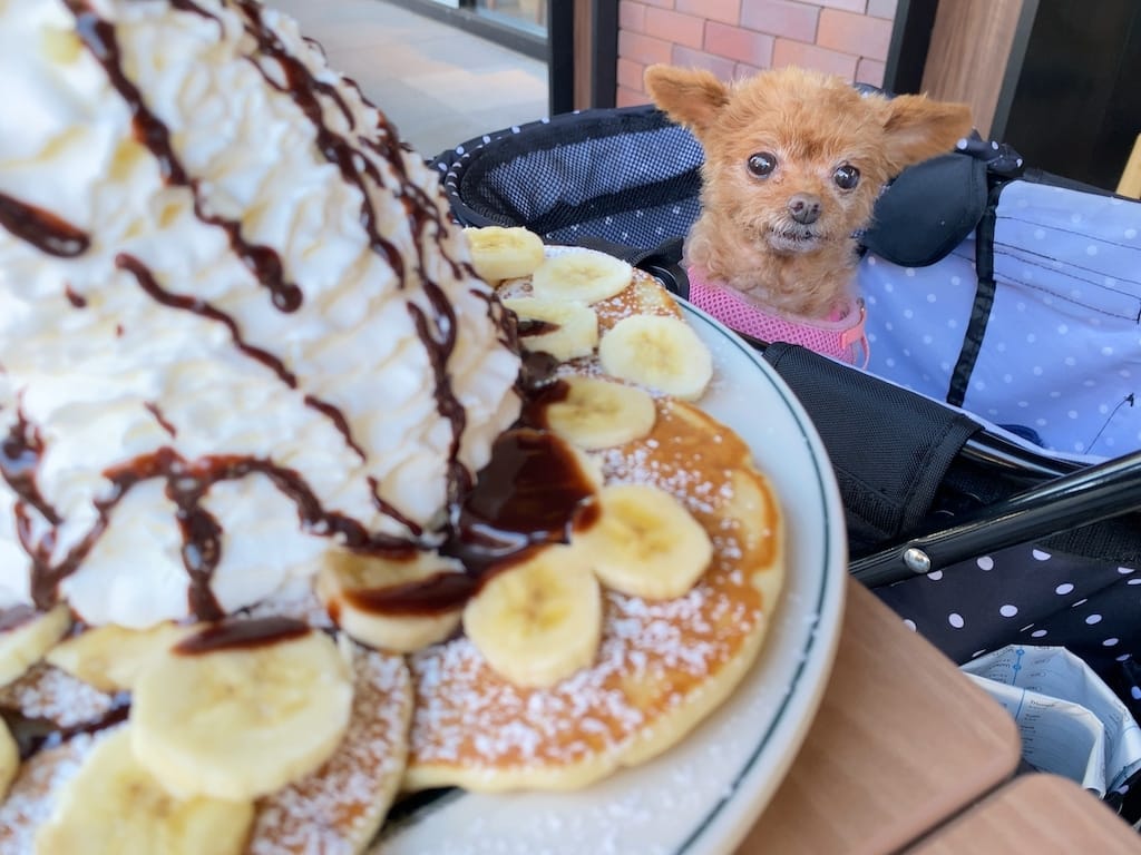 くるみ | Eggs'n Things ふかや花園プレミアム・アウトレット店