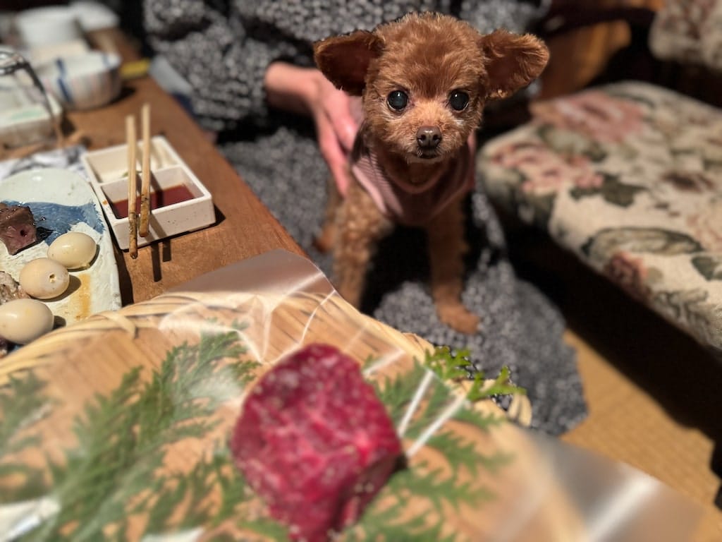 くるみ | ごん助