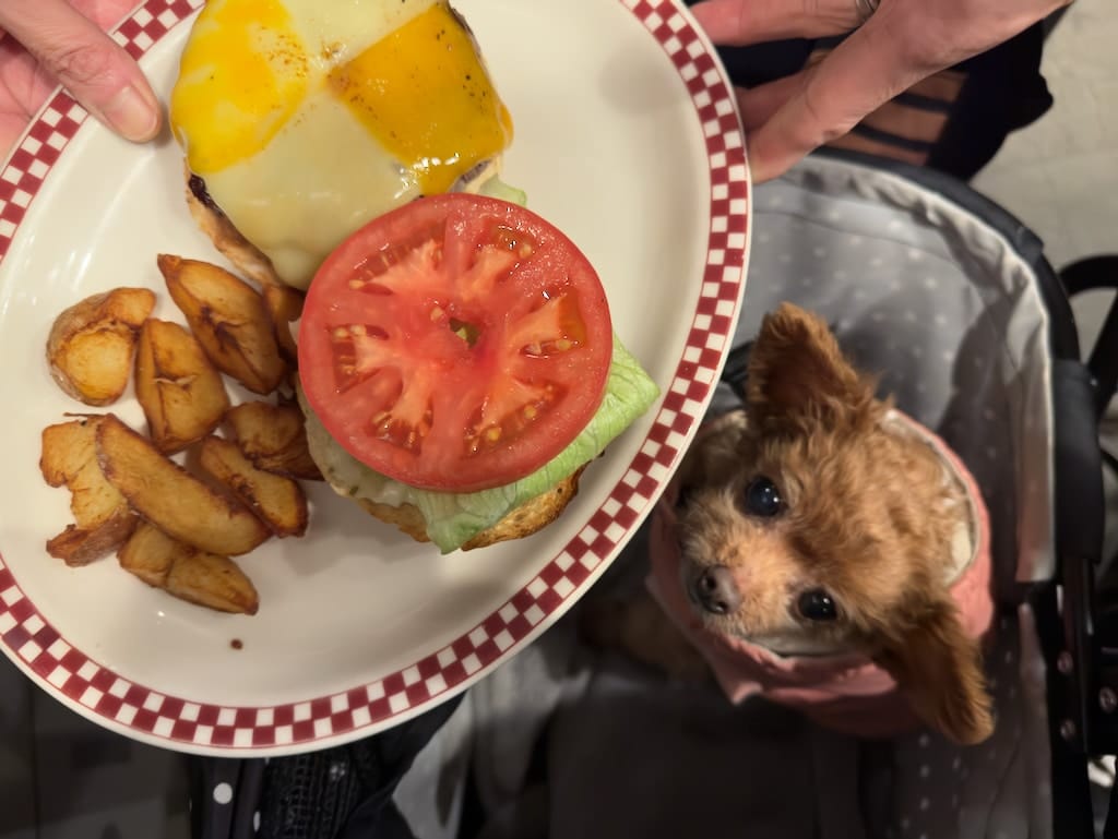 くるみ | マンチズ バーガー シャック