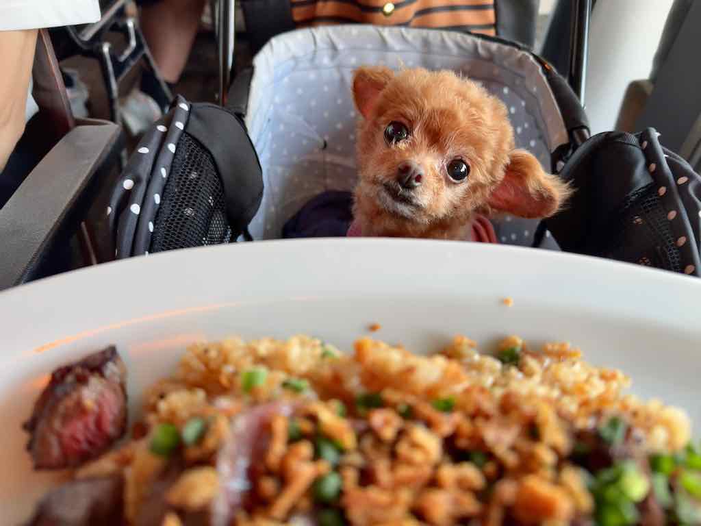 くるみ | ダブルドアーズ 七里ヶ浜店