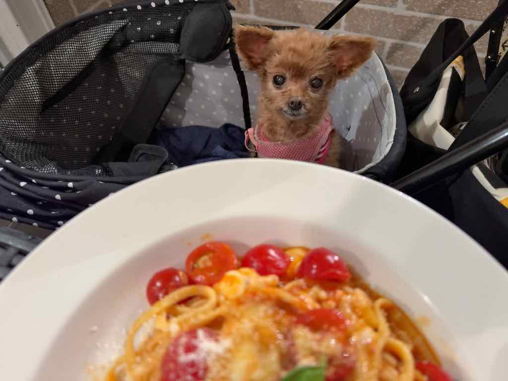 くるみ | 自家製生麺専門 プレミアム ポタパスタ カフェ リゾート