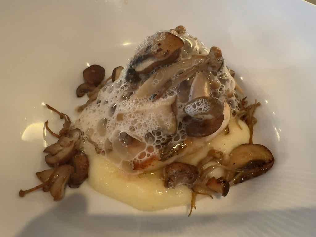 鮮魚のポワレ　マシュルームのソース | キノシタ