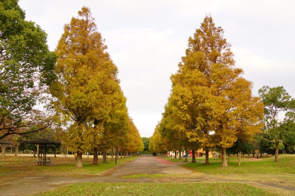 北九州市八幡西区