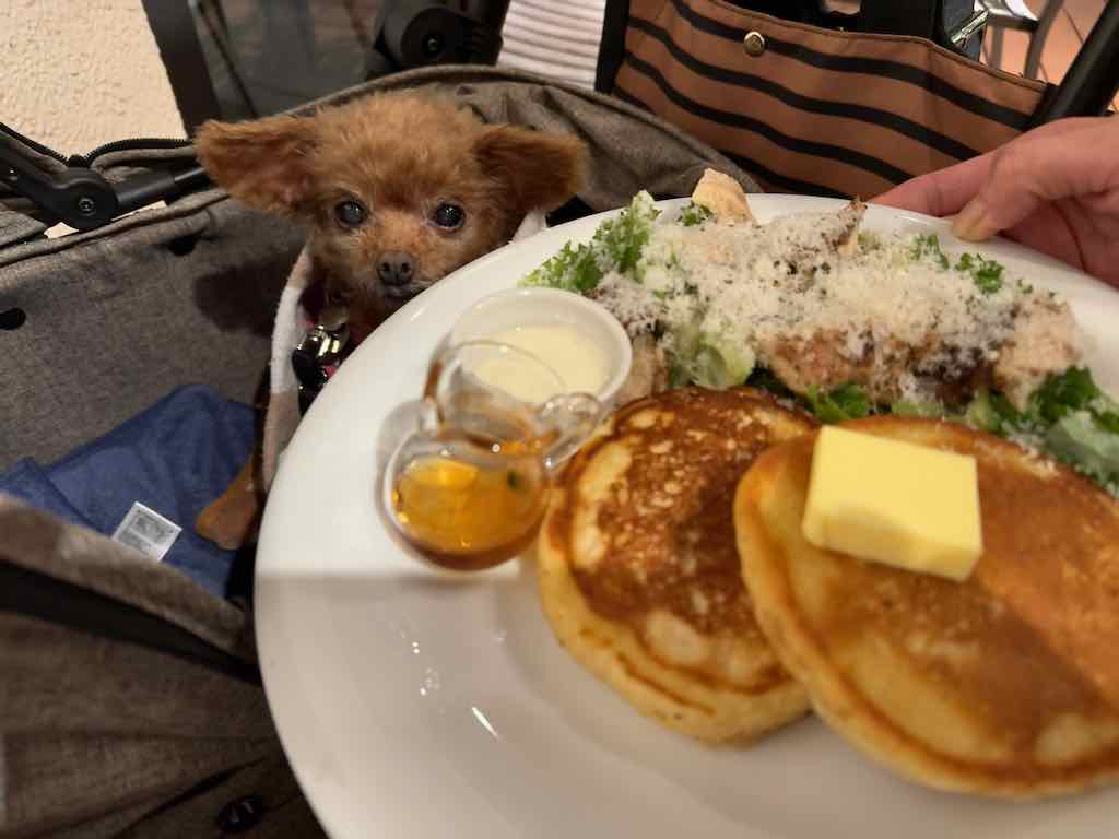 くるみ |  アロハテーブル 代官山