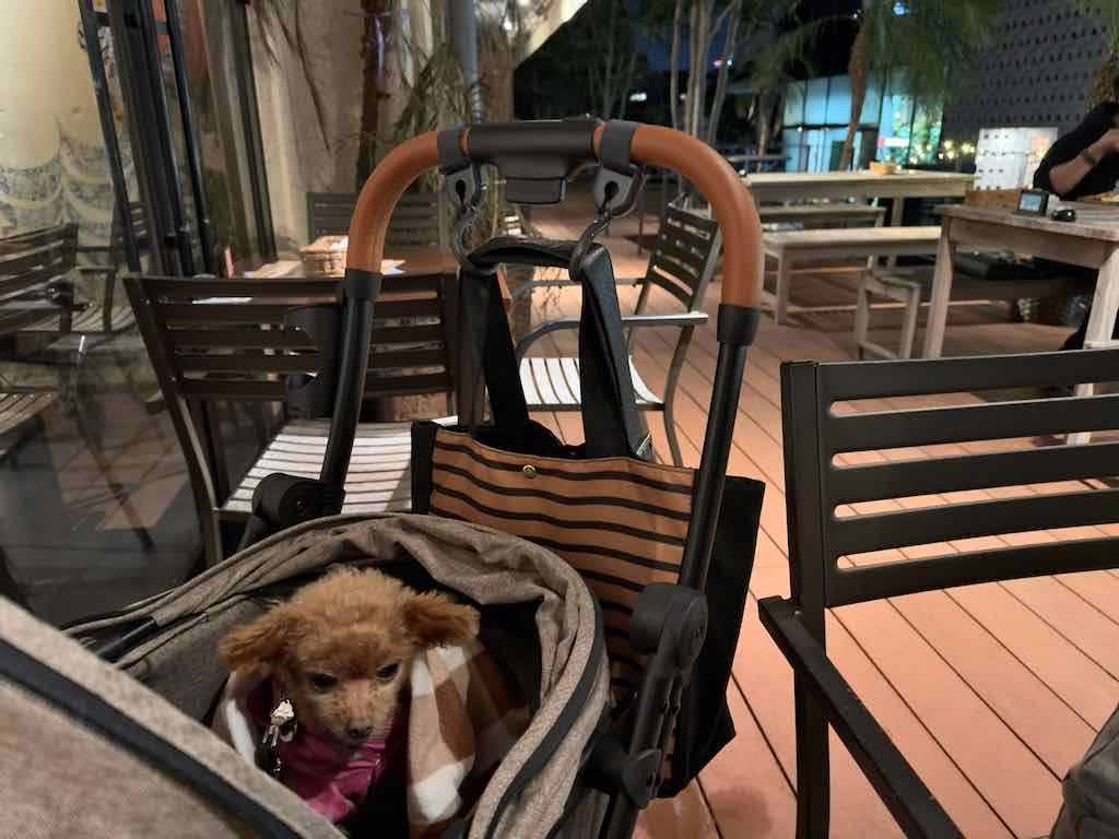 テラス席＆くるみ |  アロハテーブル 代官山