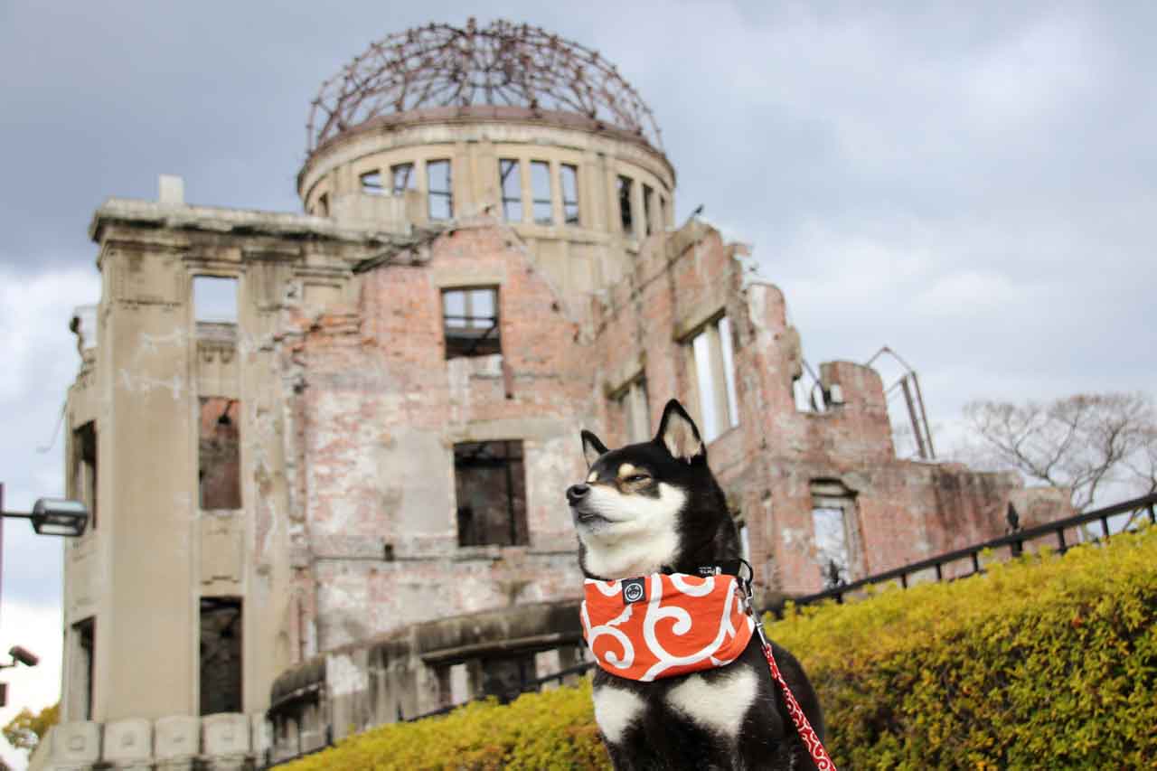 犬 | 小町・じぞう通り