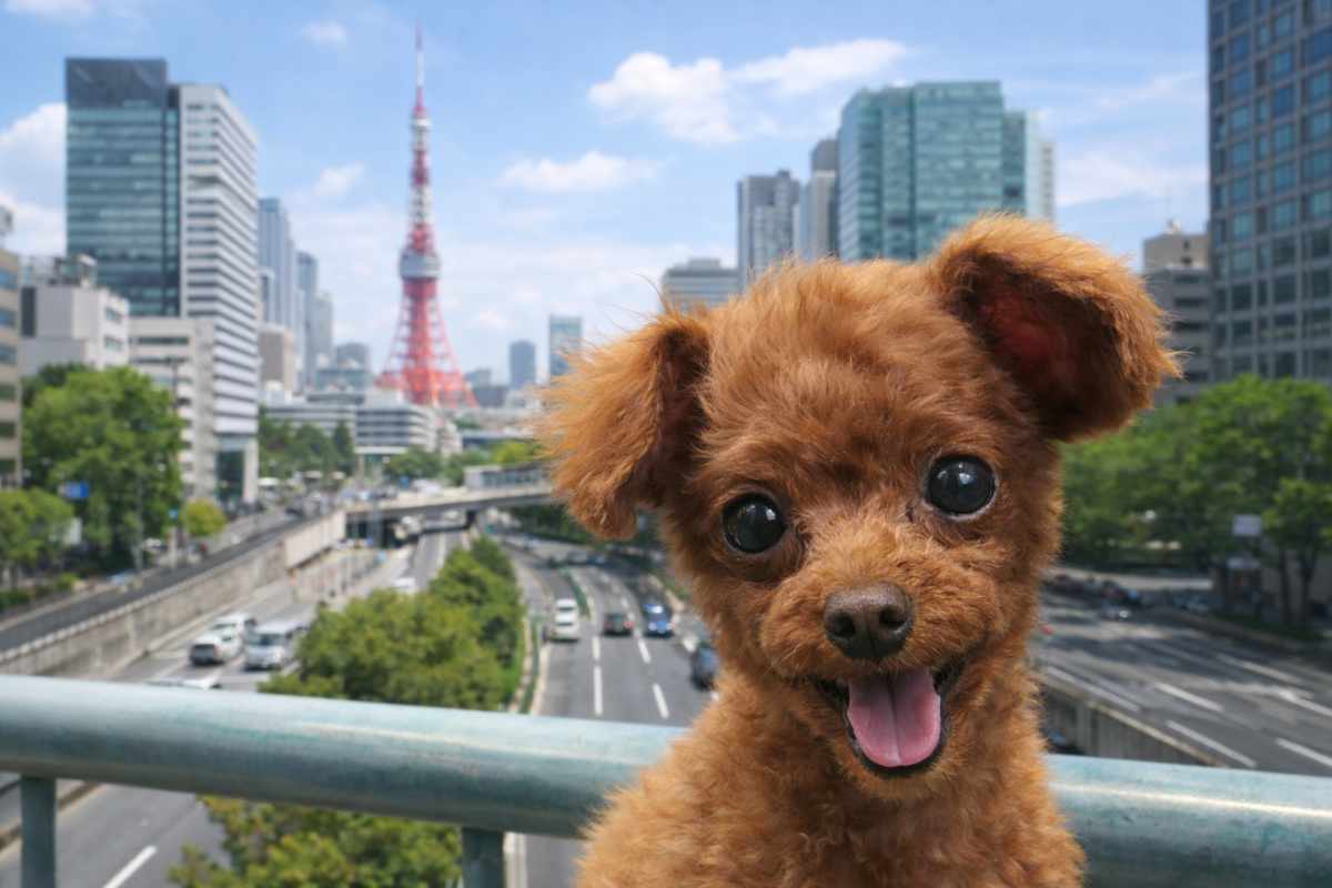 浜松町・芝公園